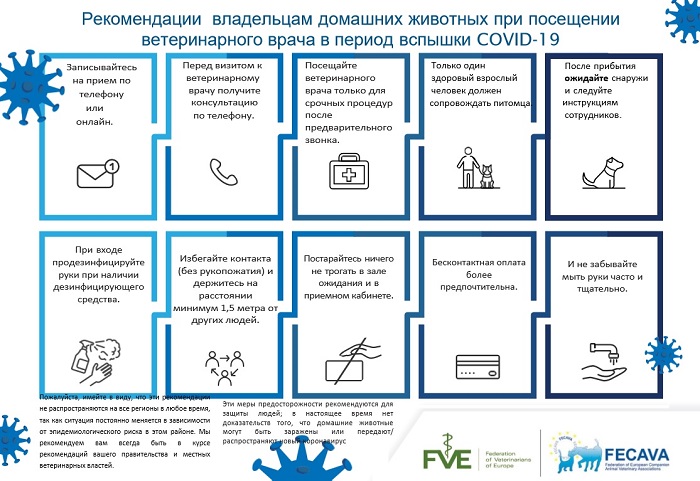 Работа в период covid-19