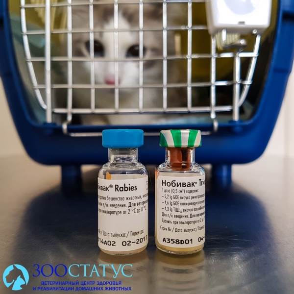 вакцины для кошек